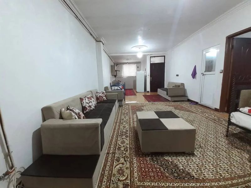 محمدرضا